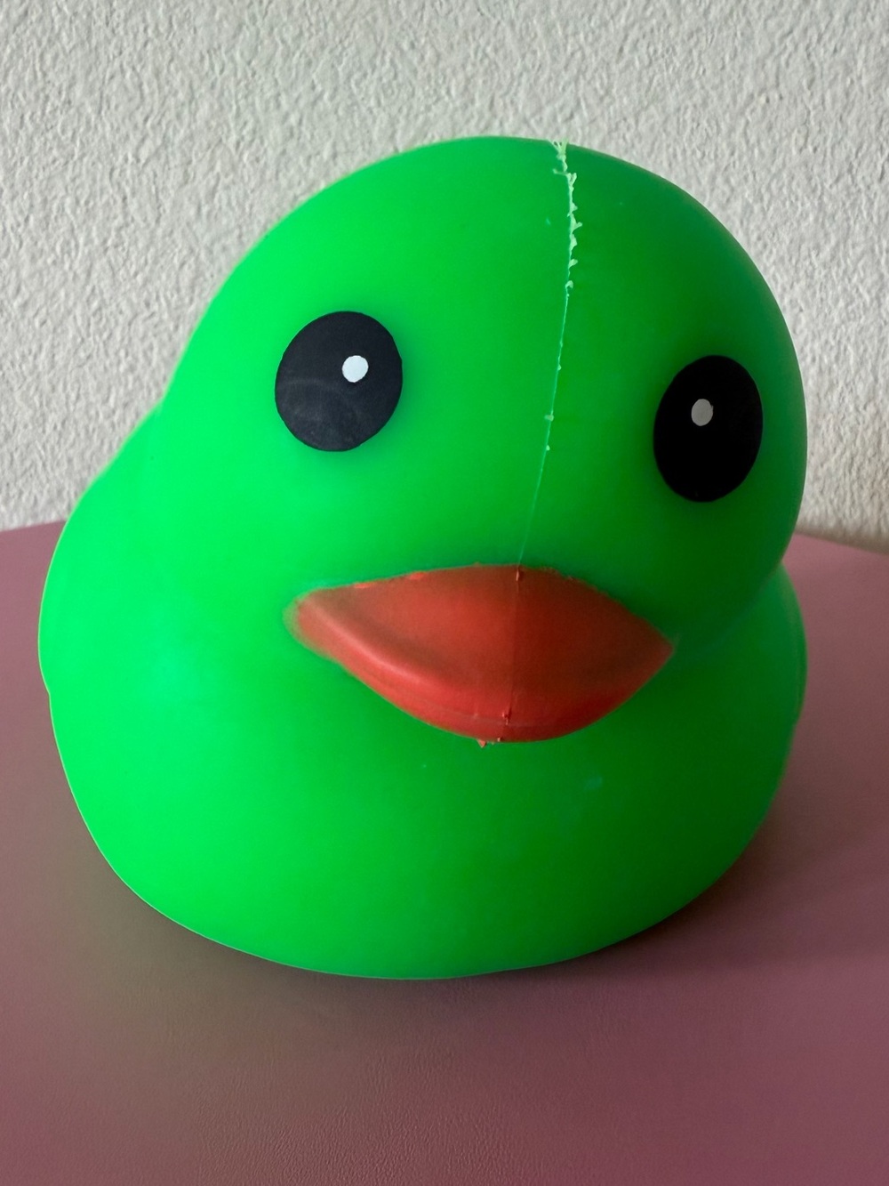 NWT Squeezy brand Green Duck